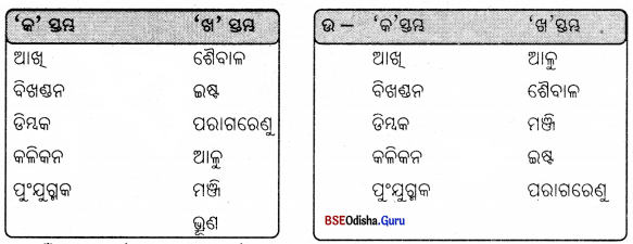 BSE Odisha 7th Class Science Solutions Chapter 10 Img 3