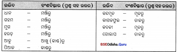 BSE Odisha 7th Class Science Solutions Chapter 10 Img 4