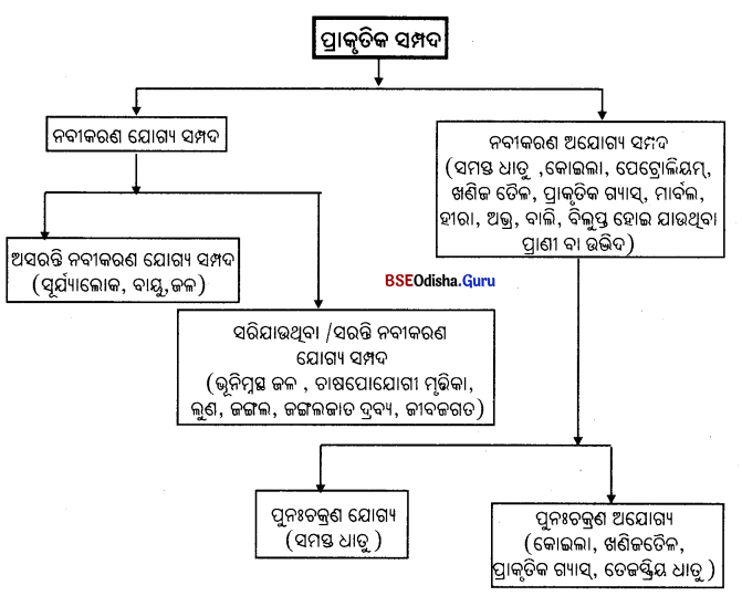 BSE Odisha 7th Class Science Solutions Chapter 16 Img 1