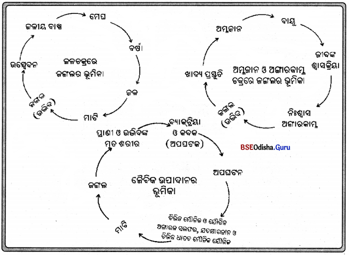 BSE Odisha 7th Class Science Solutions Chapter 16 Img 2