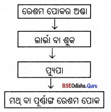 BSE Odisha 7th Class Science Solutions Chapter 4 Img 2