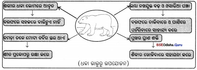 BSE Odisha 7th Class Science Solutions Chapter 7 Img 1