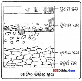 BSE Odisha 7th Class Science Solutions Chapter 8 Img 2