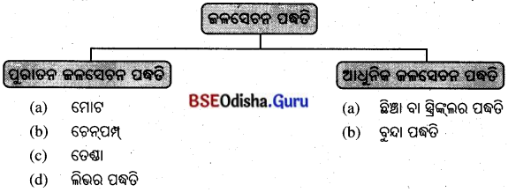 BSE Odisha 8th Class Life Science Solutions Chapter 1 ଶସ୍ୟ ଉତ୍ପାଦନ ଓ ପରିଚାଳନା 1