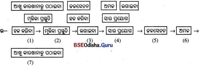 BSE Odisha 8th Class Life Science Solutions Chapter 1 ଶସ୍ୟ ଉତ୍ପାଦନ ଓ ପରିଚାଳନା 2