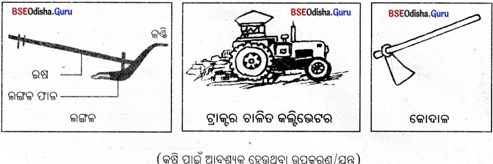 BSE Odisha 8th Class Science Notes Chapter 1 ଶସ୍ୟ ଉତ୍ପାଦନ ଓ ପରିଚାଳନା - 1