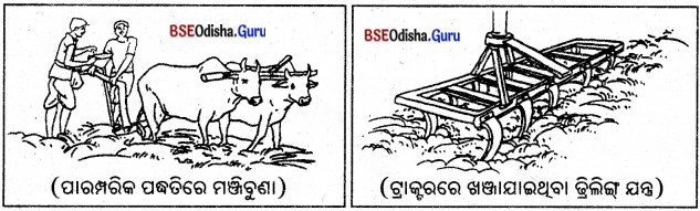 BSE Odisha 8th Class Science Notes Chapter 1 ଶସ୍ୟ ଉତ୍ପାଦନ ଓ ପରିଚାଳନା - 2