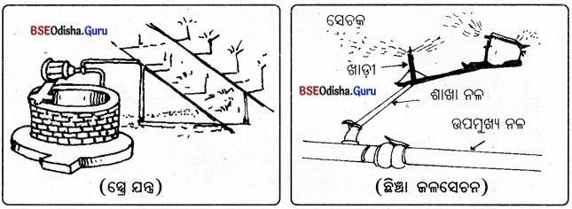 BSE Odisha 8th Class Science Notes Chapter 1 ଶସ୍ୟ ଉତ୍ପାଦନ ଓ ପରିଚାଳନା - 4