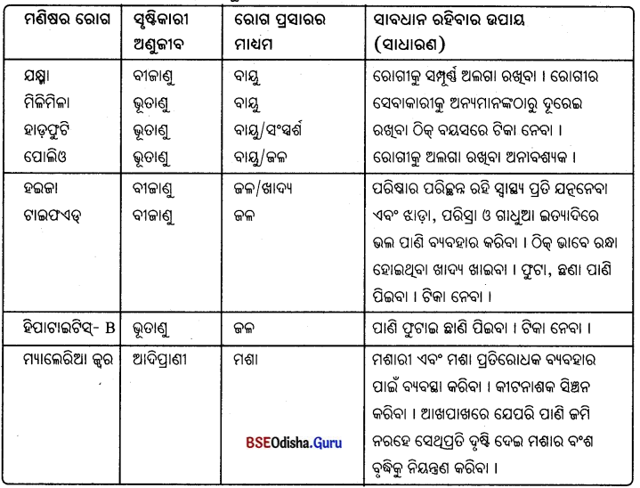 BSE Odisha 8th Class Science Notes Chapter 2 ଅଣୁଜୀବ ଉପକାରୀ ଓ ଅପକାରୀ 2
