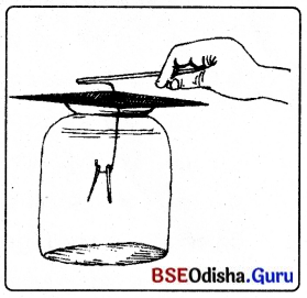 BSE Odisha 8th Class Science Solutions Chapter 15 କେତେକ ପ୍ରାକୃତିକ ଘଟଣା 1