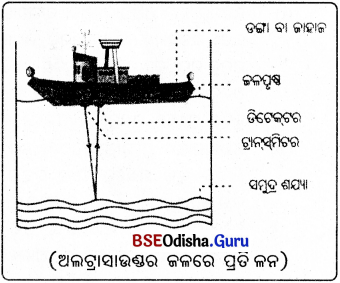BSE Odisha 9th Class Physical Science Notes Chapter 9 ଧ୍ଵନି - 12