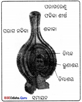 BSE Odisha Class 7 Science Solutions Chapter 10 Img 3