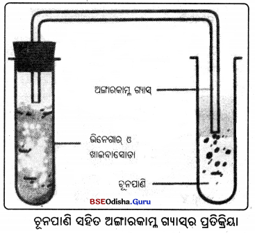 BSE Odisha Class 7 Science Solutions Chapter 2 Img 4