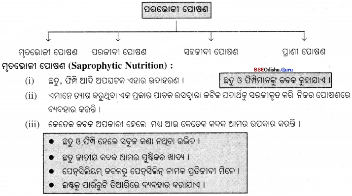 BSE Odisha Class 7 Science Solutions Chapter 5 Img 2
