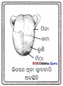 BSE Odisha Class 7 Science Solutions Chapter 5 Img 6