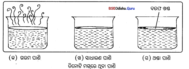 BSE Odisha Class 7 Science Solutions Chapter 6 Img 1