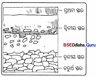 BSE Odisha Class 7 Science Solutions Chapter 8 Img 2