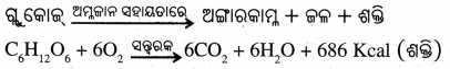 BSE Odisha Class 7 Science Solutions Chapter 9 Img 1