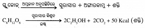 BSE Odisha Class 7 Science Solutions Chapter 9 Img 2