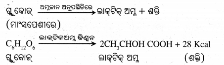 BSE Odisha Class 7 Science Solutions Chapter 9 Img 3