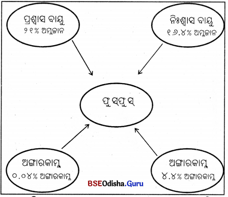 BSE Odisha Class 7 Science Solutions Chapter 9 Img 5
