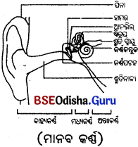 CBSE Odisha 9th Class Physical Science Important Questions Chapter 9 ଧ୍ଵନି - 2