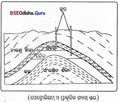 BSE Odisha 8th Class Science Notes Chapter 5 କୋଇଲା ଓ ପେଟ୍ରୋଲିୟମ୍ 3