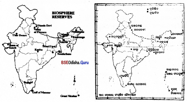 BSE Odisha 8th Class Science Notes Chapter 7 ଉଭିଦ ଏବଂ ପ୍ରାଣୀମାନଙ୍କର ସଂରକ୍ଷଣ 4