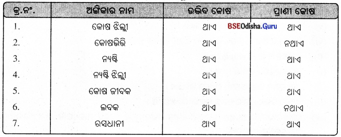 BSE Odisha 8th Class Science Notes Chapter 8 କୋଷ – ଗଠନ ଓ କାର୍ଯ୍ୟ 3