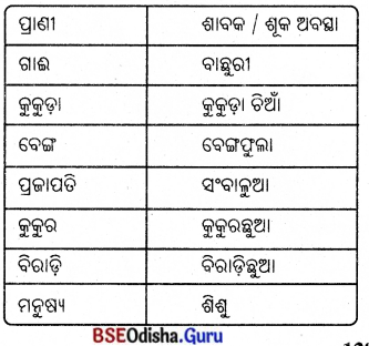 BSE Odisha 8th Class Science Notes Chapter 9 ପ୍ରାଣୀଙ୍କ ପ୍ରଜନନ 1