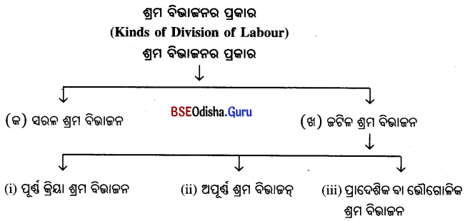 CHSE Odisha Class 11 Sociology Unit 3 Long Answer Questions in Odia Medium