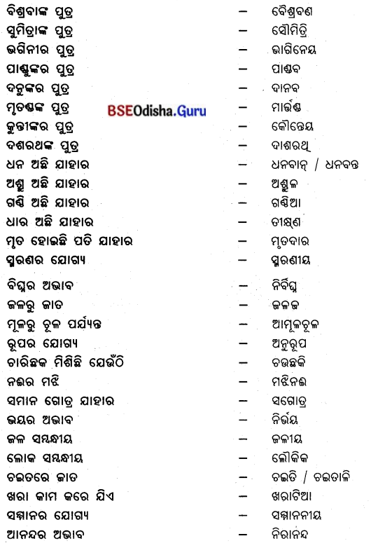 CHSE Odisha Class 12 Odia Grammar ବ୍ୟାକରଣ 13