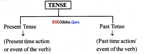 BSE Odisha 10th Class English Grammar Solutions Chapter 1 Tense Revisited 1