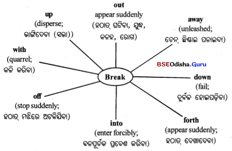 BSE Odisha 10th Class English Grammar Solutions Chapter 6 Phrasal Verbs 6