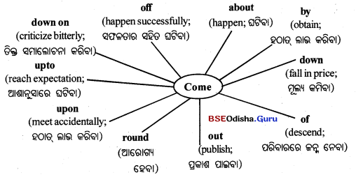 BSE Odisha 10th Class English Grammar Solutions Chapter 6 Phrasal Verbs 7