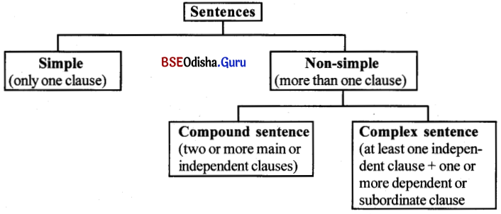 BSE Odisha 10th Class English Grammar Solutions Chapter 7 Noun Clauses and Relative Clauses 1