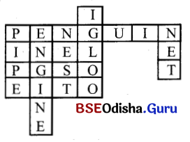 BSE Odisha 10th Class English Grammar Solutions Chapter 7 Noun Clauses and Relative Clauses 2