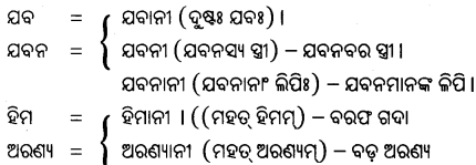 BSE Odisha 10th Class Sanskrit Grammar Solutions Chapter 1 ସ୍ତ୍ରୀପ୍ରତ୍ୟୟ 1