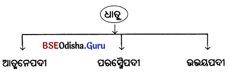 BSE Odisha 10th Class Sanskrit Grammar Solutions Chapter 9 ପରସ୍ମୈପଦ ବିଧାନ