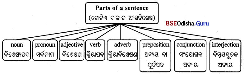 BSE Odisha 9th Class English Grammar Solutions Chapter 1 Parts of a Sentence 3