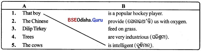 BSE Odisha 9th Class English Grammar Solutions Chapter 1 Parts of a Sentence 4