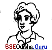 BSE Odisha 9th Class English Grammar Solutions Chapter 1 Parts of a Sentence 6