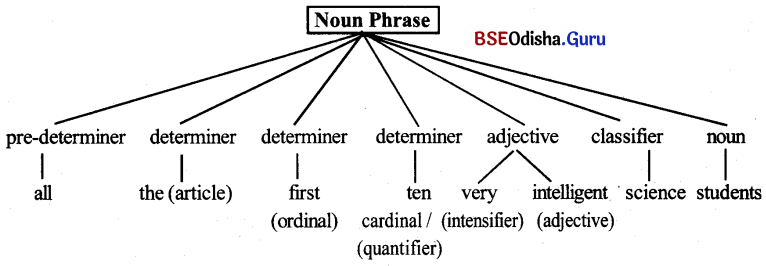 BSE Odisha 9th Class English Grammar Solutions Chapter 8 Determiners 4