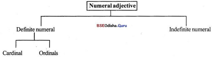 BSE Odisha 9th Class English Grammar Solutions Chapter 9 Adjectives 1