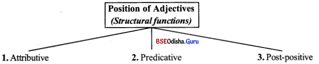 BSE Odisha 9th Class English Grammar Solutions Chapter 9 Adjectives 2