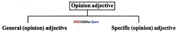 BSE Odisha 9th Class English Grammar Solutions Chapter 9 Adjectives 4