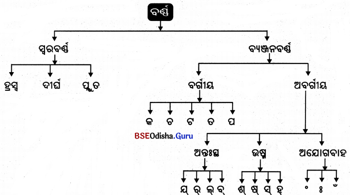 BSE Odisha 9th Class Sanskrit Grammar Solutions Chapter 1 ବର୍ଷ