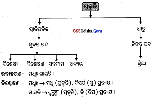 BSE Odisha 9th Class Sanskrit Grammar Solutions Chapter 3 ପଦ ପ୍ରକରଣ 1
