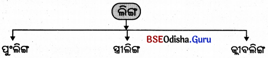 BSE Odisha 9th Class Sanskrit Grammar Solutions Chapter 4 ଲିଙ୍ଗ, ବଚନ ଓ ପୁରୁଷ ପ୍ରକରଣ 1