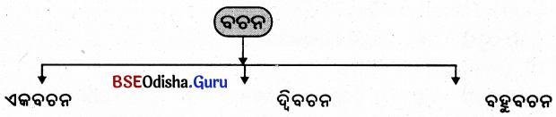 BSE Odisha 9th Class Sanskrit Grammar Solutions Chapter 4 ଲିଙ୍ଗ, ବଚନ ଓ ପୁରୁଷ ପ୍ରକରଣ 2
